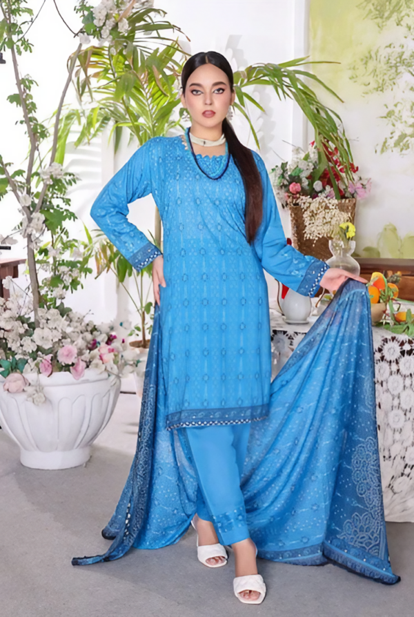 Sarina 3 Piece Lawn Collection 2024 Unstitched Lawn