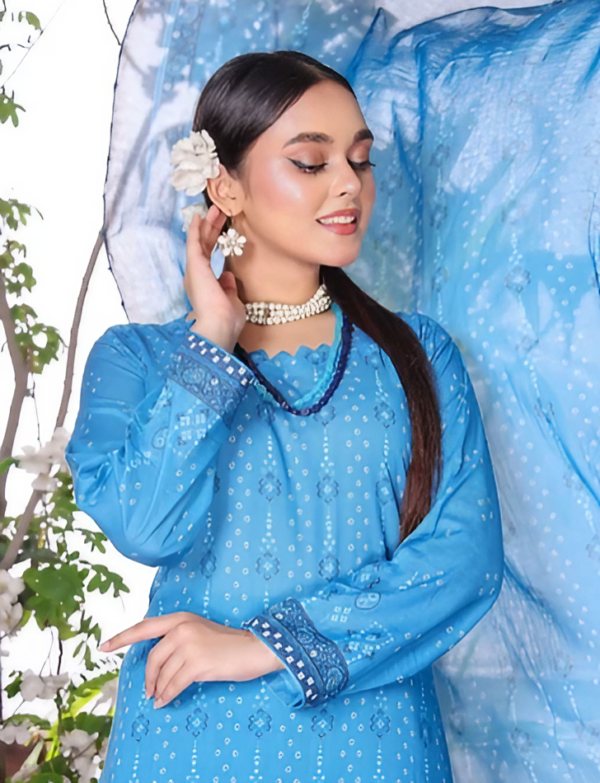 Sarina 3 Piece Lawn Collection 2024 Unstitched Lawn