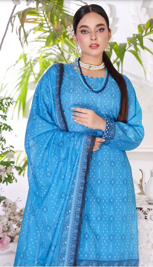 Sarina 3 Piece Lawn Collection 2024 Unstitched Lawn